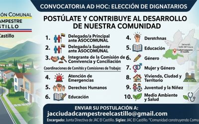 PROVISIÓN TEMPORAL DE DIGNIDADES Y COORDINACIONES VACANTES AD-HOC